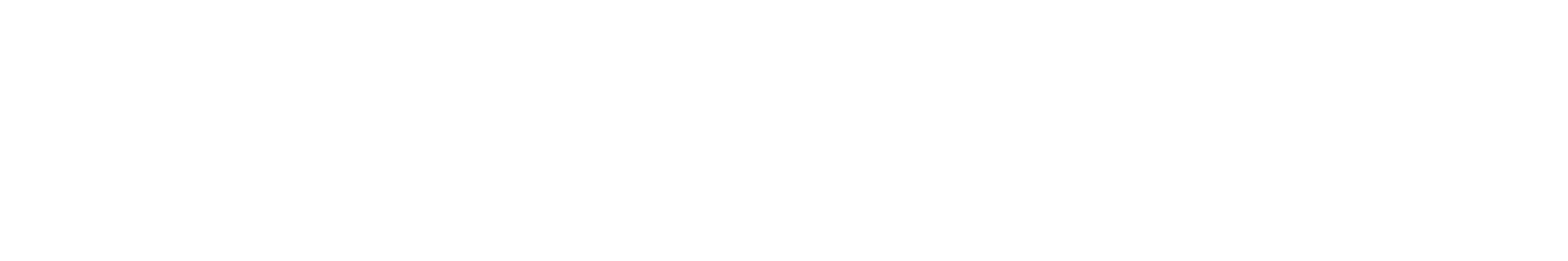 有限会社SINYU